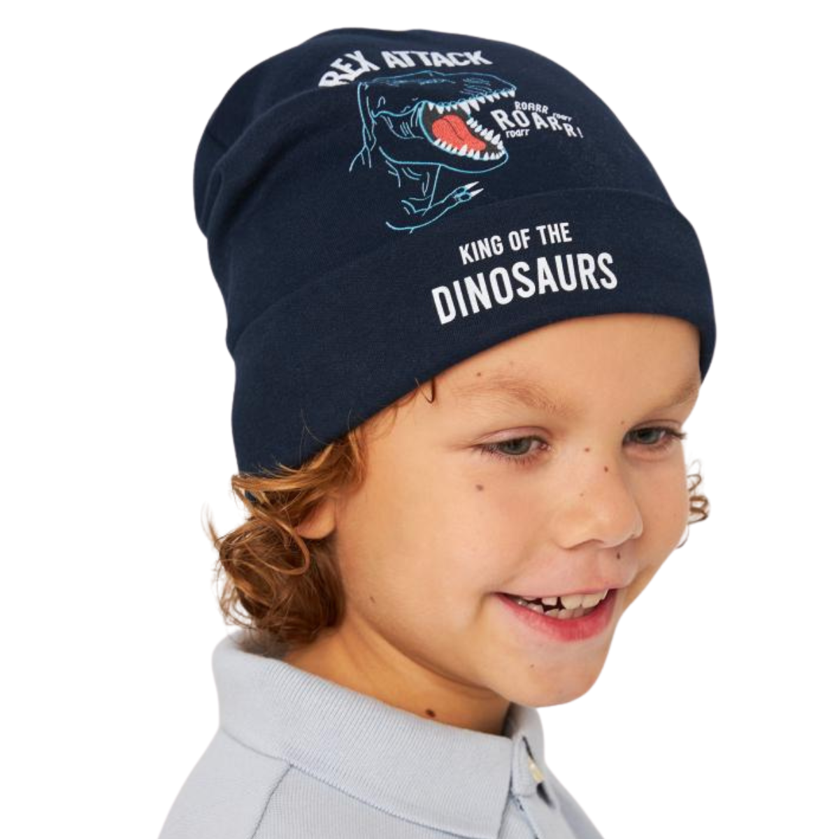 Kids cotton beanie hat with cuff β dinosaur print with 'Rex Attack' and 'King of the Dinosaurs' text, size 52β54, for boys ages 2.5β6