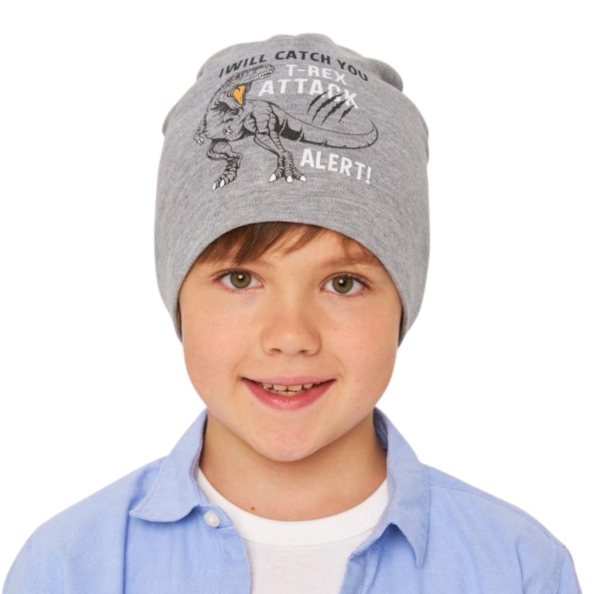 Gray cotton beanie hat for kids without cuff β T-Rex dinosaur print with 'Attack Alert' text, size 52β54, for boys ages 2.5β6