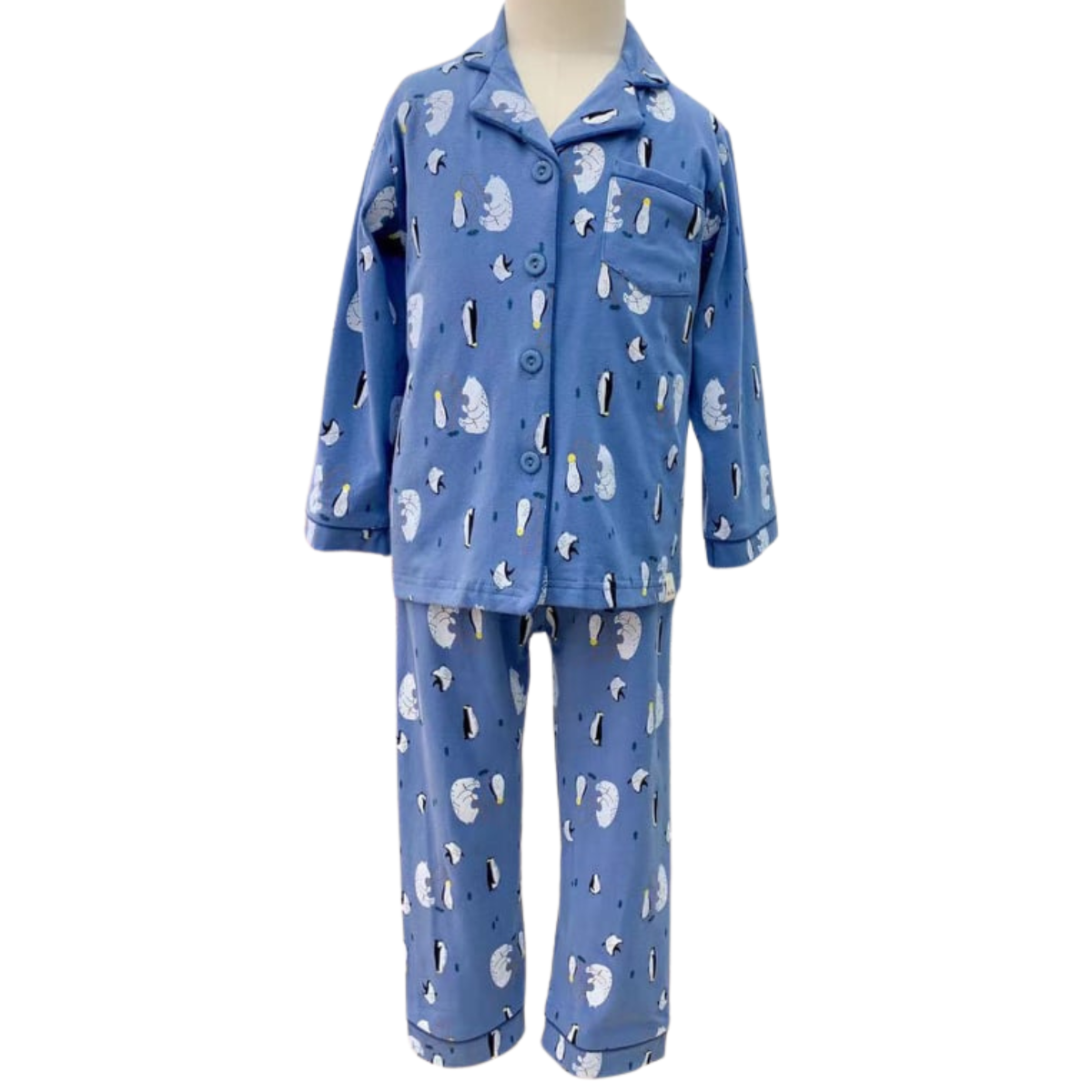 3031 Boys' Mid-Season Pajama Set – Cotton Long Sleeve Button-Up Top & Pants with Fun Airplane Print | Sizes 90–140 cm