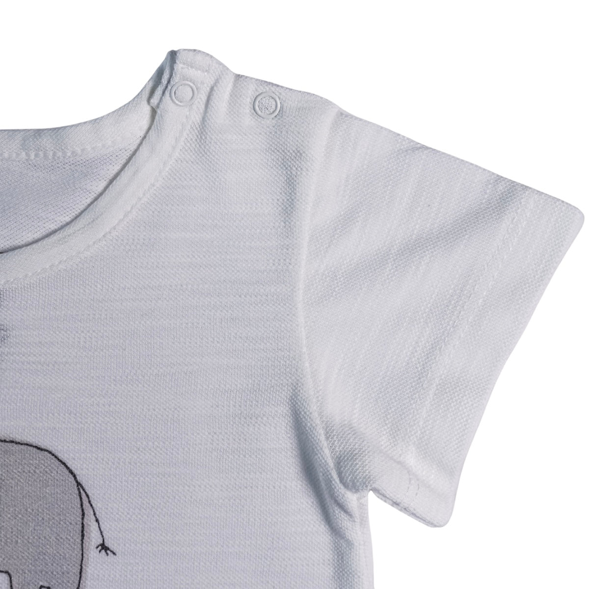 004 WOWO Baby Boys' Summer Outfit Set – 100% Cotton T-Shirt & Shorts | Elephant Print | Sizes 9-12M, 12-18M, 18-24M |