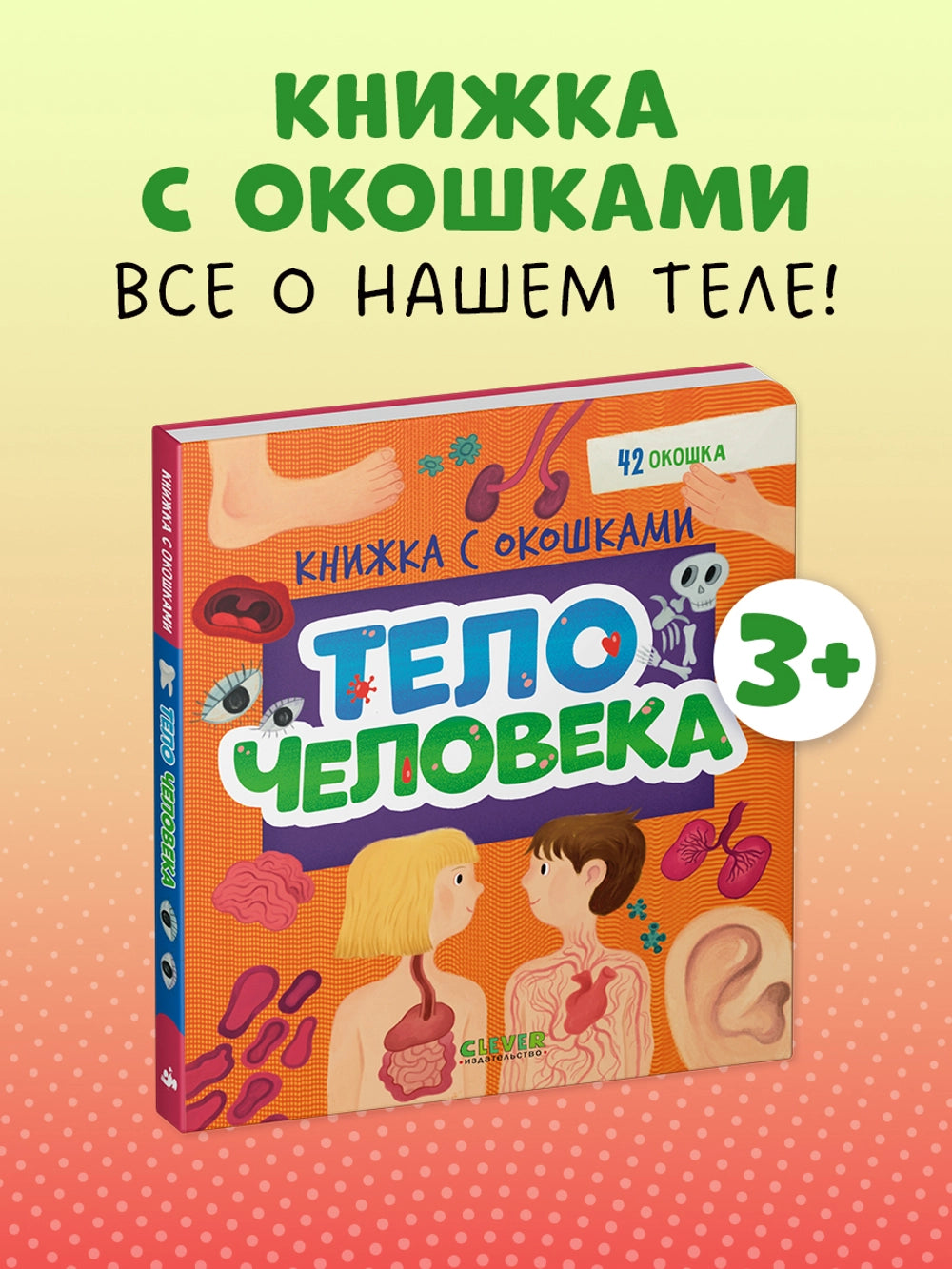 116973 Russian Children’s Book “The Human Body” with Flaps | Interactive Learning Book for Kids Ages 3+ | 42 Lift-the-Flap Questions