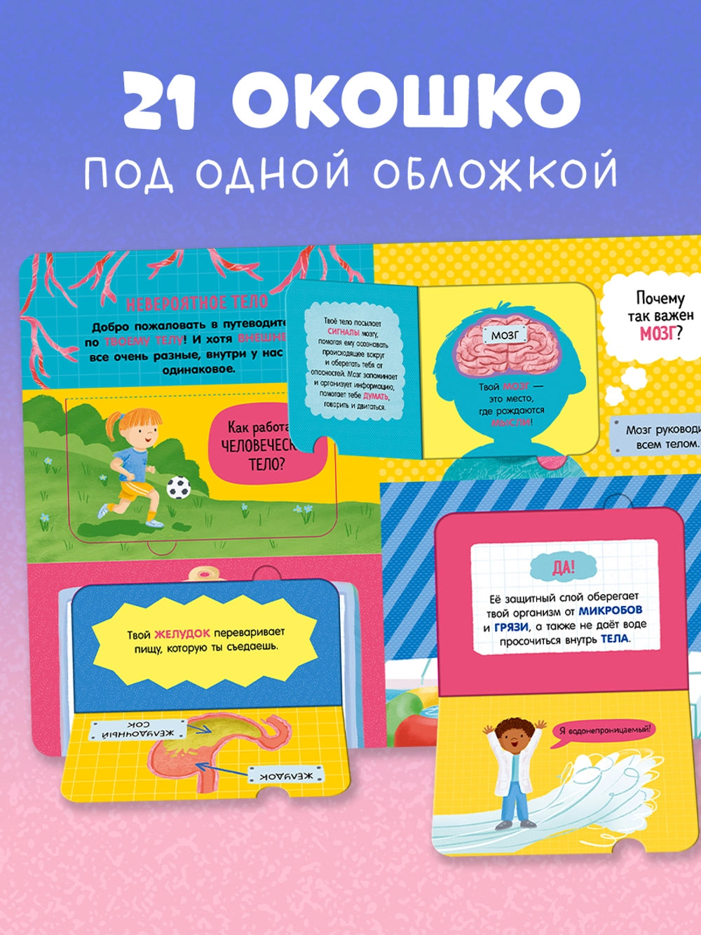 117826 Russian Children’s Book “How the Human Body Works” | Interactive Lift-the-Flap Anatomy Book for Kids Ages 5+ | 21 Flaps