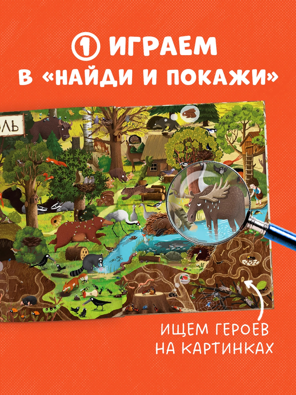 153351 Russian Picture Book “A Year in the Forest” | Emilia Dziubak | Seasons, Nature & Animal Life | Wimmelbook for Kids Ages 3–6