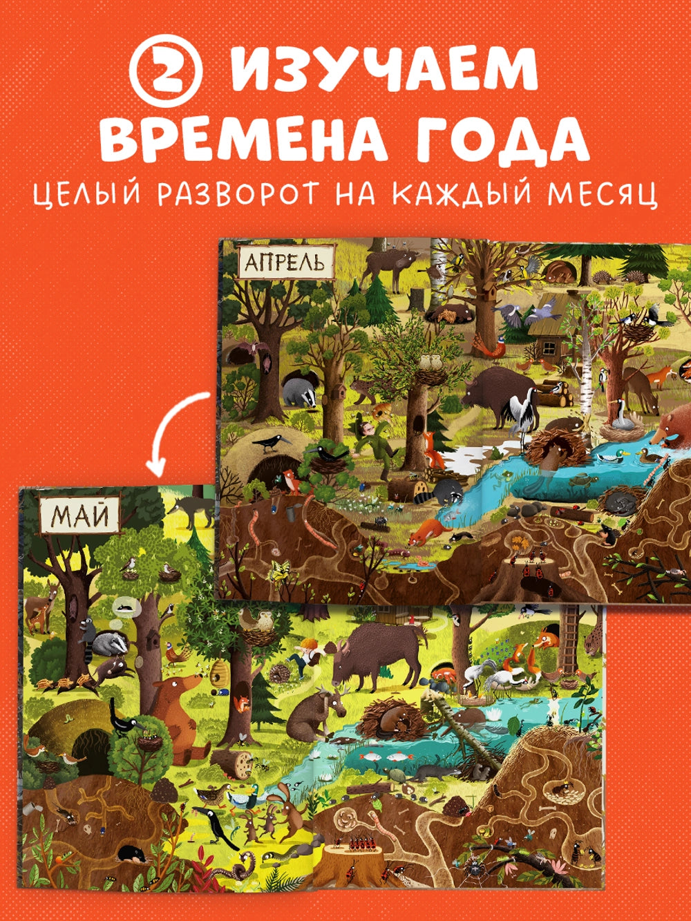 153351 Russian Picture Book “A Year in the Forest” | Emilia Dziubak | Seasons, Nature & Animal Life | Wimmelbook for Kids Ages 3–6