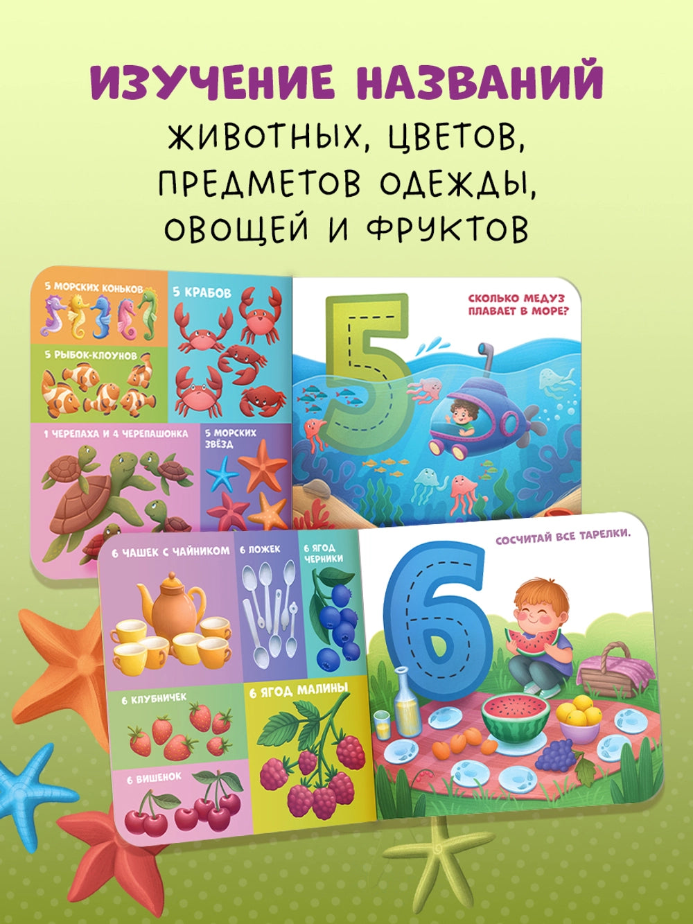 116997 Russian Children's Board Book “My First Counting Book 1 to 10” | Early Learning Numbers & Colors | Ages 2–5 | Clever Publishing