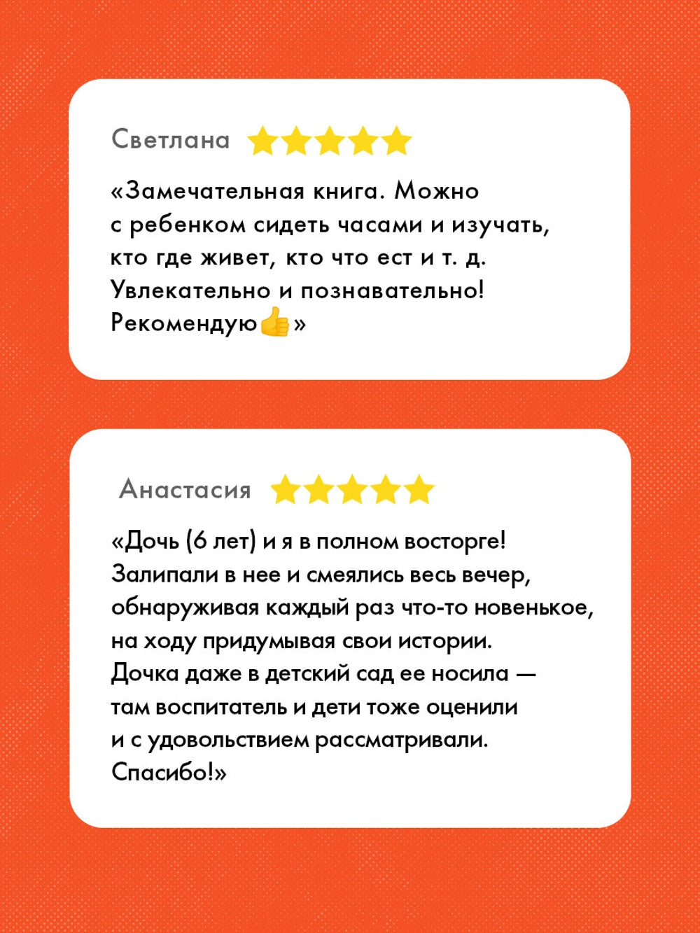 153351 Russian Picture Book “A Year in the Forest” | Emilia Dziubak | Seasons, Nature & Animal Life | Wimmelbook for Kids Ages 3–6