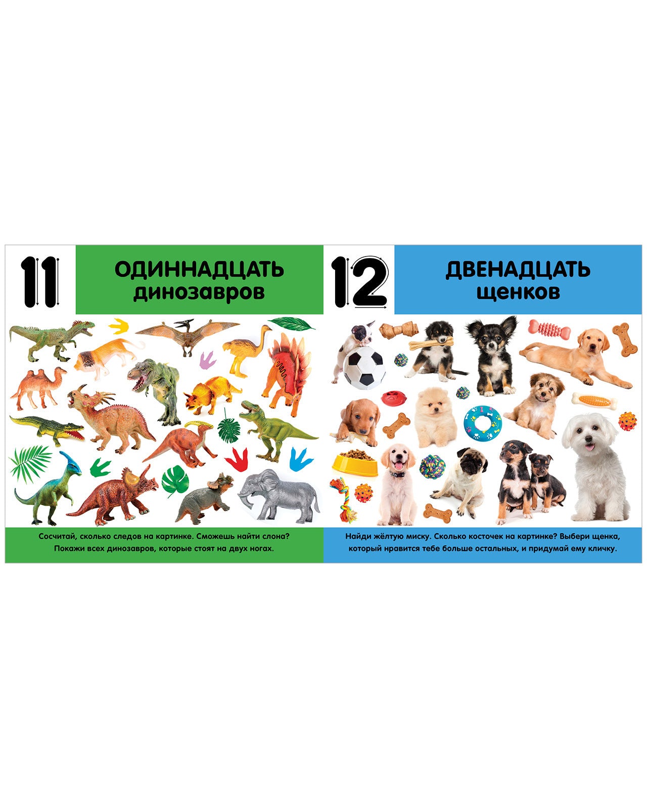 545095 Russian Baby Photo Book “Numbers” |Ages 0+| Counting from 1 to 20 | Educational Board Book with Real Photos | Ages 0+ | Clever Publishing