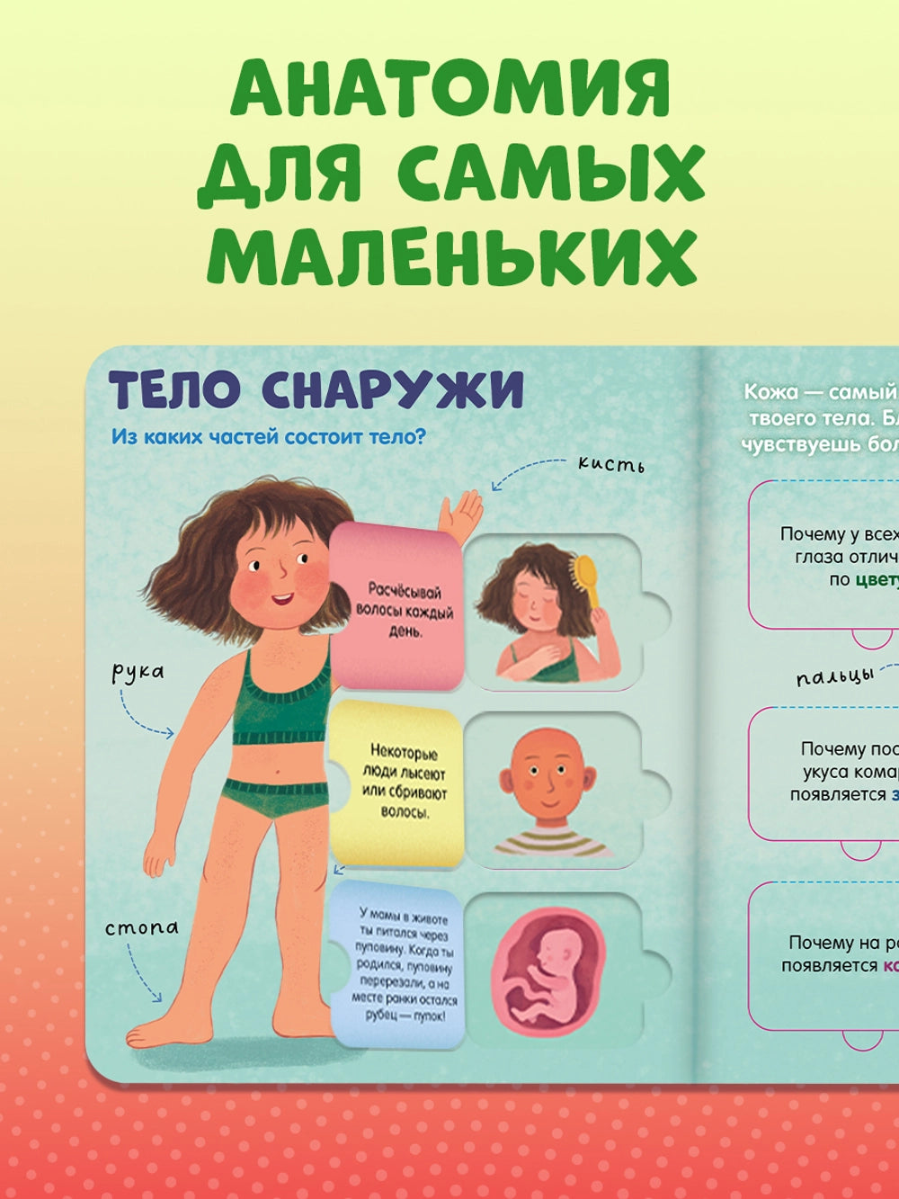 116973 Russian Children’s Book “The Human Body” with Flaps | Interactive Learning Book for Kids Ages 3+ | 42 Lift-the-Flap Questions