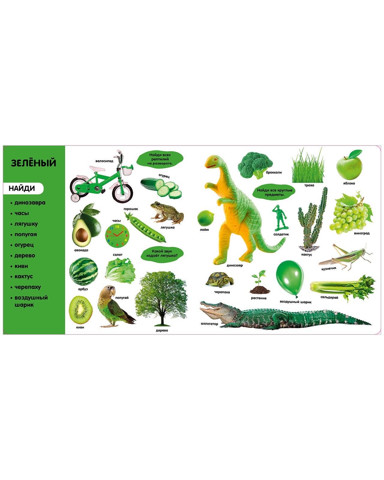 544609 Russian Baby Photo Book “Colors” | Educational Board Book with Real Photos | 261 New Words | Ages 0+ | Clever Publishing