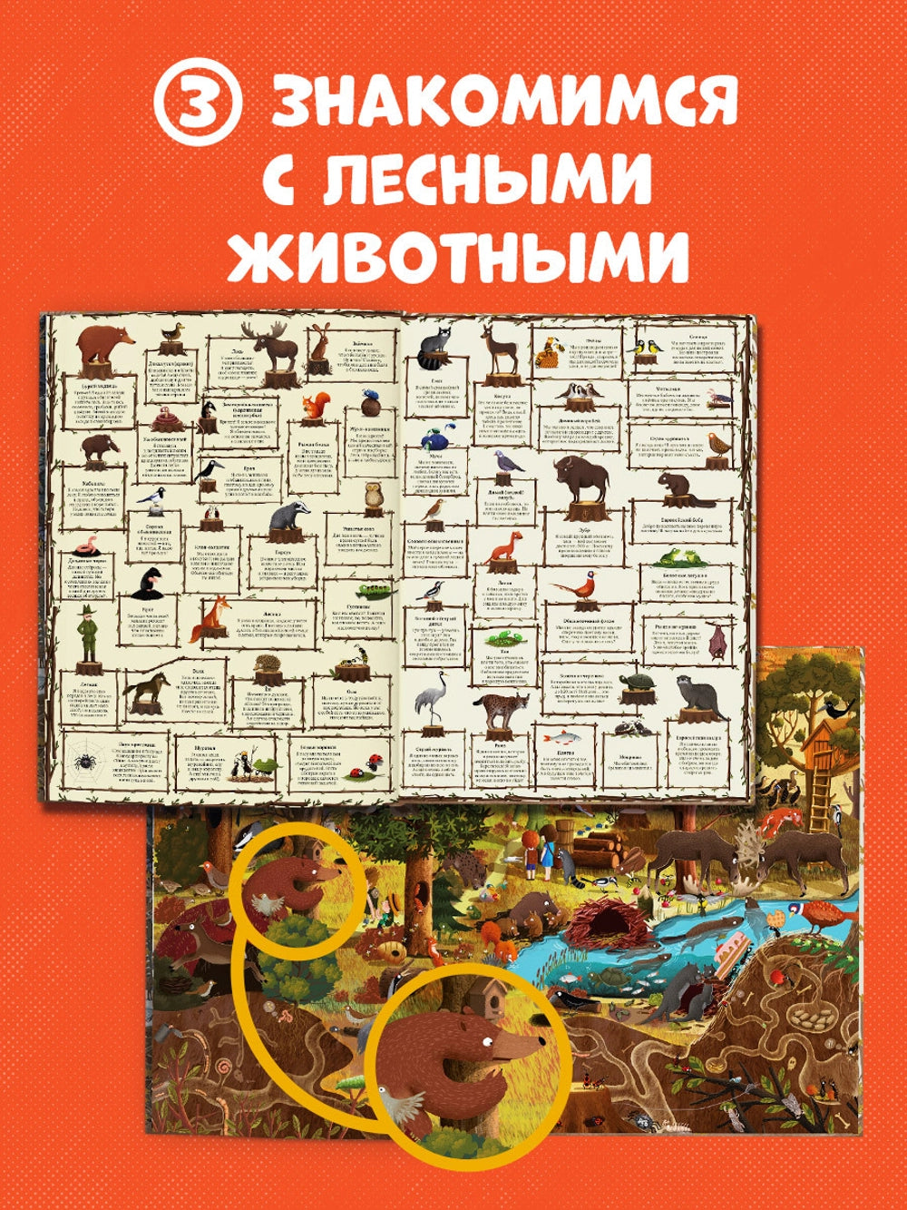153351 Russian Picture Book “A Year in the Forest” | Emilia Dziubak | Seasons, Nature & Animal Life | Wimmelbook for Kids Ages 3–6