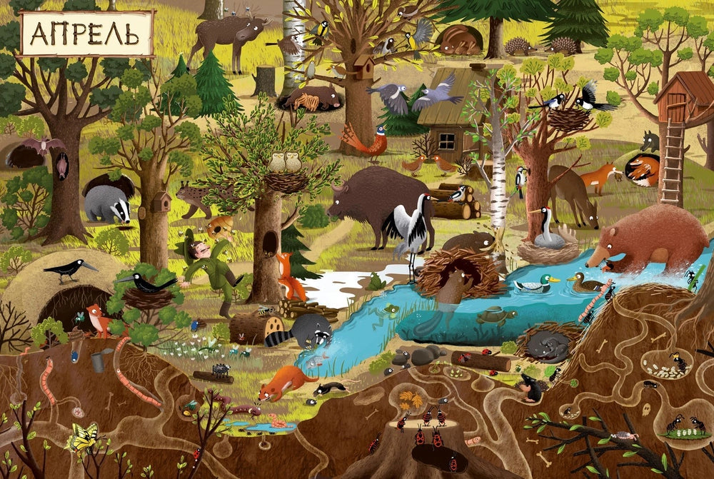 153351 Russian Picture Book “A Year in the Forest” | Emilia Dziubak | Seasons, Nature & Animal Life | Wimmelbook for Kids Ages 3–6