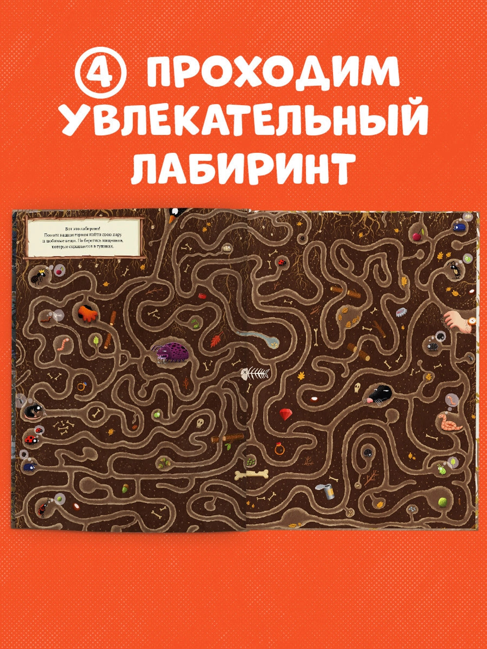 153351 Russian Picture Book “A Year in the Forest” | Emilia Dziubak | Seasons, Nature & Animal Life | Wimmelbook for Kids Ages 3–6