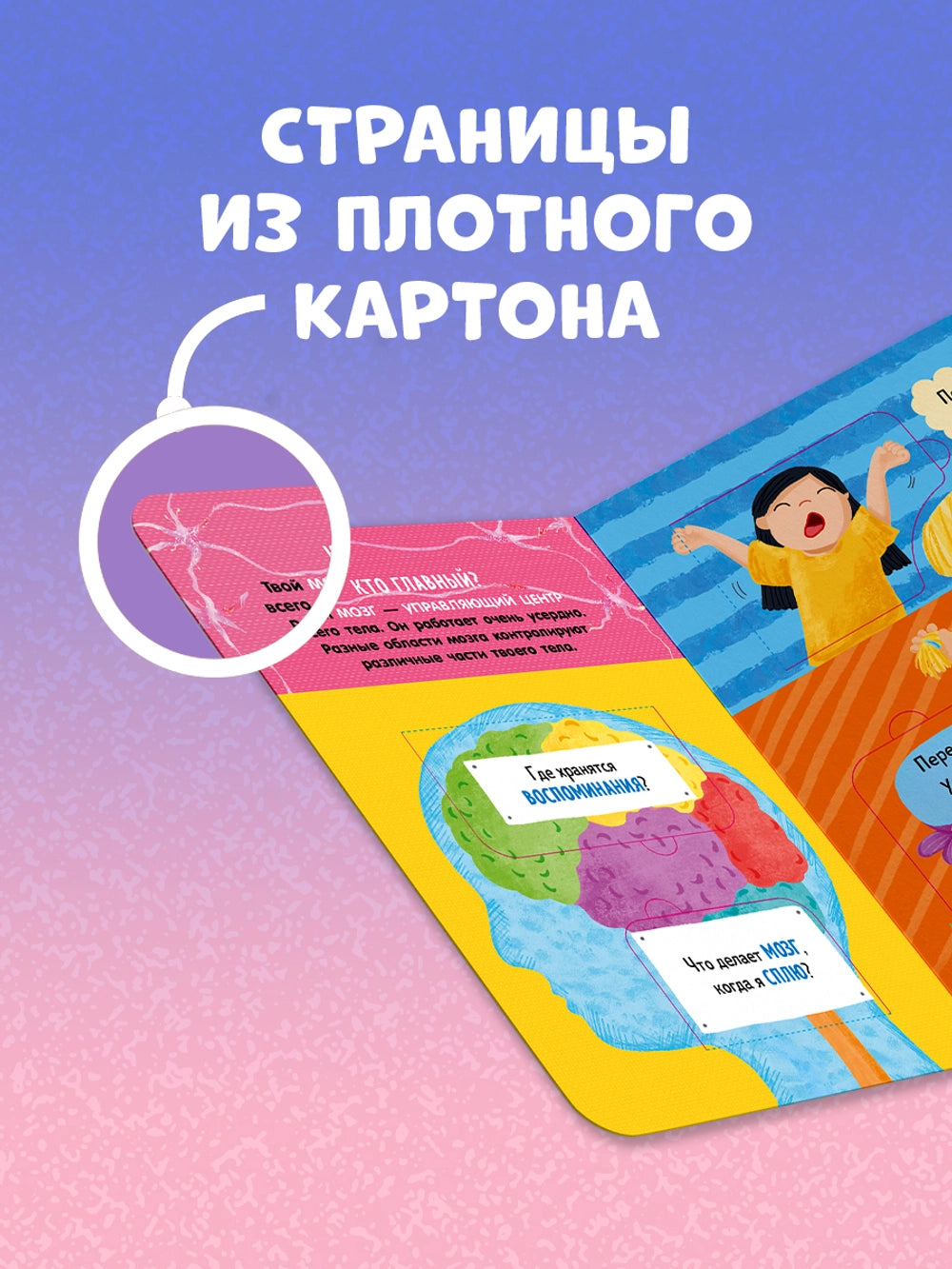 117826 Russian Children’s Book “How the Human Body Works” | Interactive Lift-the-Flap Anatomy Book for Kids Ages 5+ | 21 Flaps