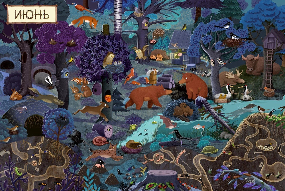 153351 Russian Picture Book “A Year in the Forest” | Emilia Dziubak | Seasons, Nature & Animal Life | Wimmelbook for Kids Ages 3–6
