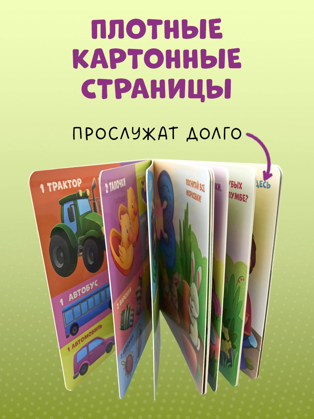 116997 Russian Children's Board Book “My First Counting Book 1 to 10” | Early Learning Numbers & Colors | Ages 2–5 | Clever Publishing