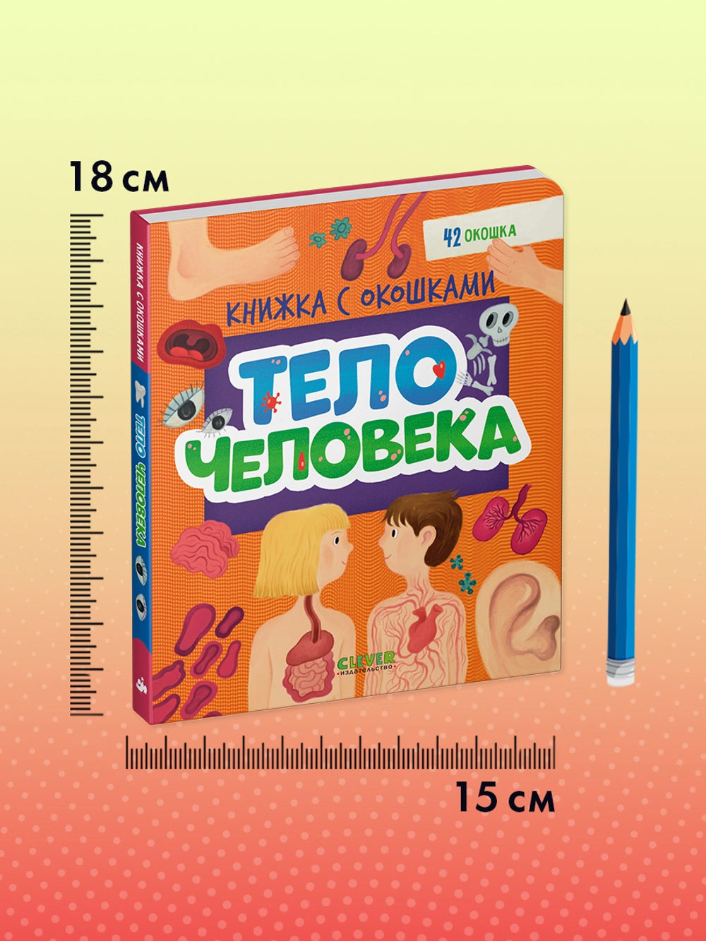 116973 Russian Children’s Book “The Human Body” with Flaps | Interactive Learning Book for Kids Ages 3+ | 42 Lift-the-Flap Questions