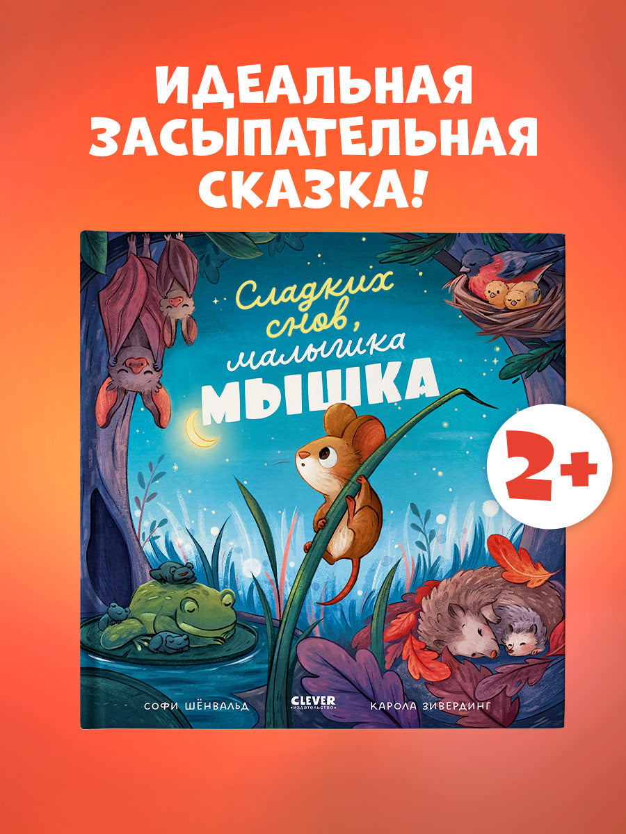 114825 Russian Kids Book “Goodnight, Little Mouse” |Ages 3+ | Sofie Schönwald & Karola Sieverding | Clever Publishing | Picture Book