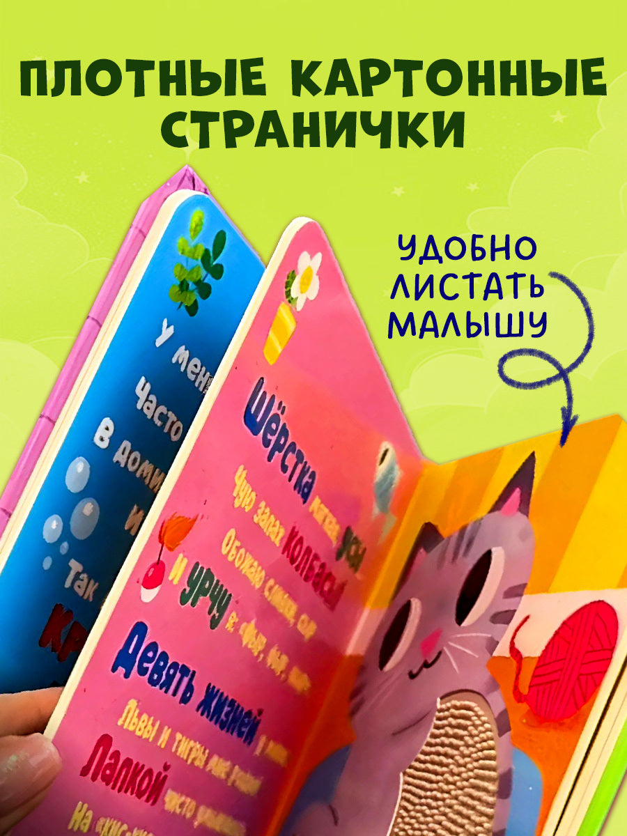520602 Russian Touch-and-Feel Book “Who Am I? Pets | Ages 0+” | Julia Vesova | Clever Publishing