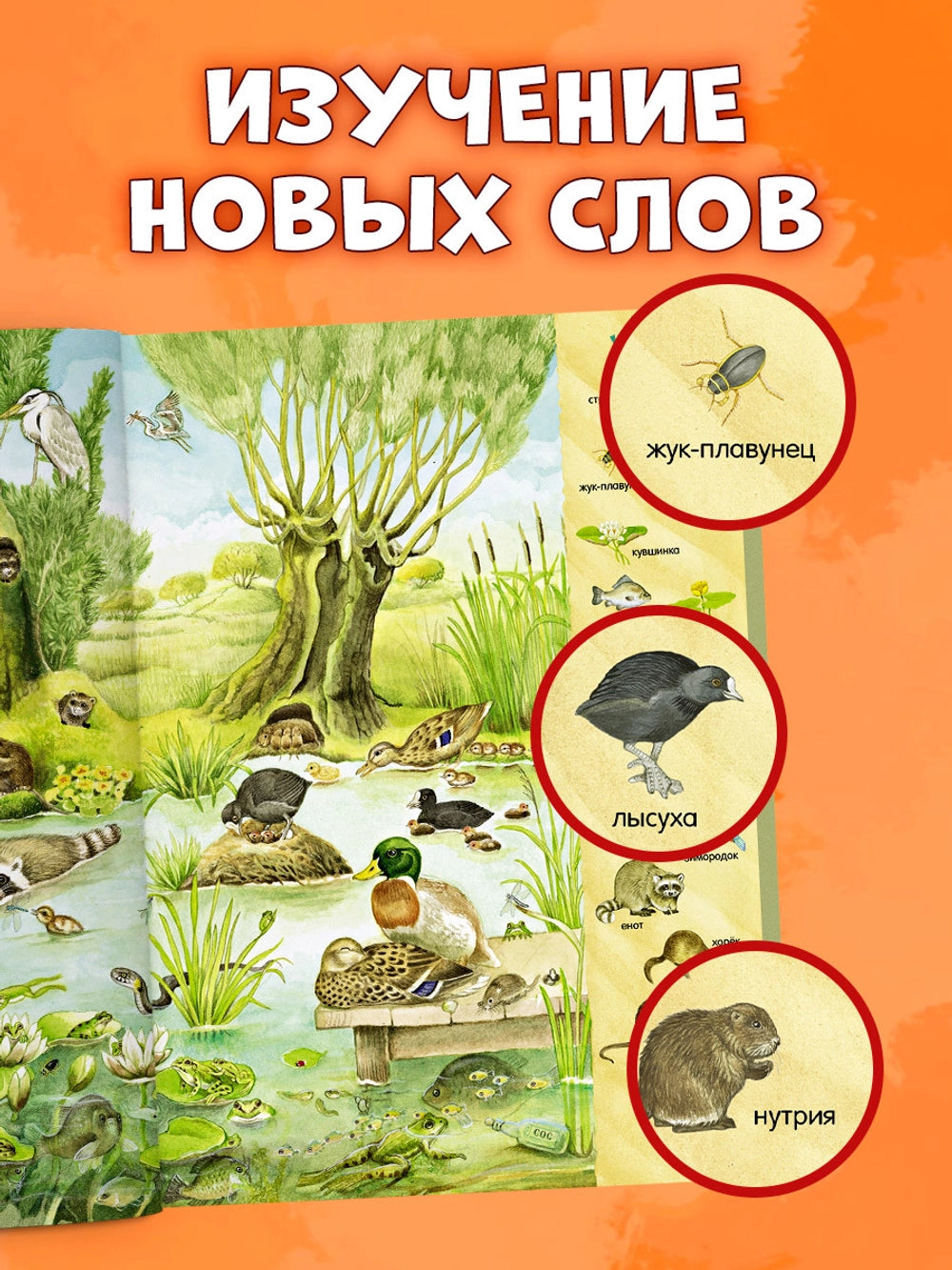 521982 Russian Children's Book “Find and Show: 1000 Animals” | Kristina Henkel | Search & Find Picture Book | Ages 3–6 | Clever Publishing