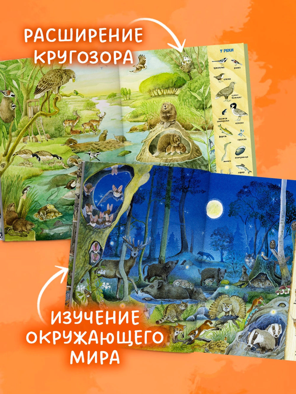 521982 Russian Children's Book “Find and Show: 1000 Animals” | Kristina Henkel | Search & Find Picture Book | Ages 3–6 | Clever Publishing