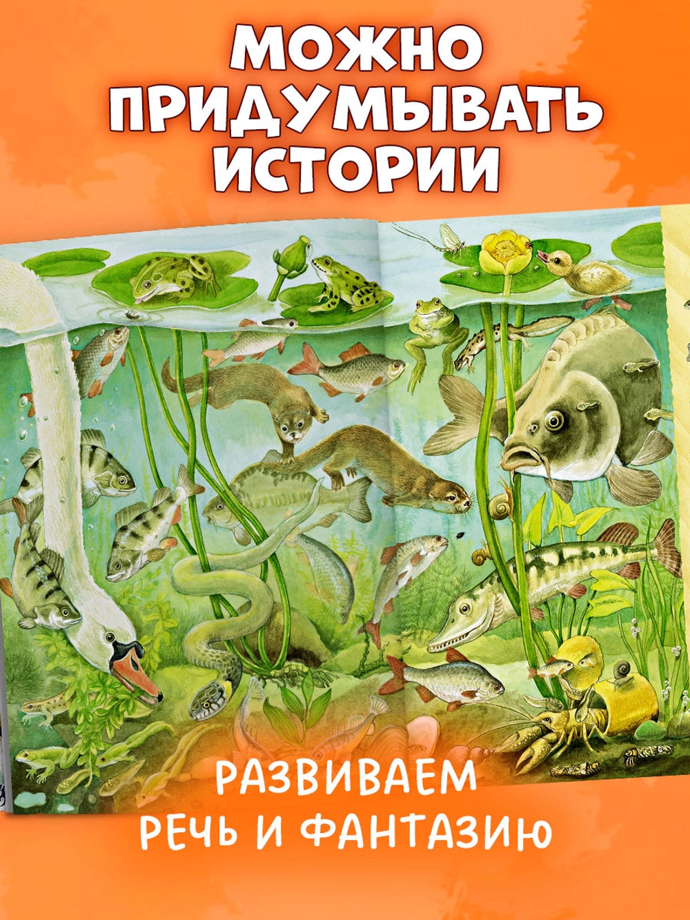 521982 Russian Children's Book “Find and Show: 1000 Animals” | Kristina Henkel | Search & Find Picture Book | Ages 3–6 | Clever Publishing