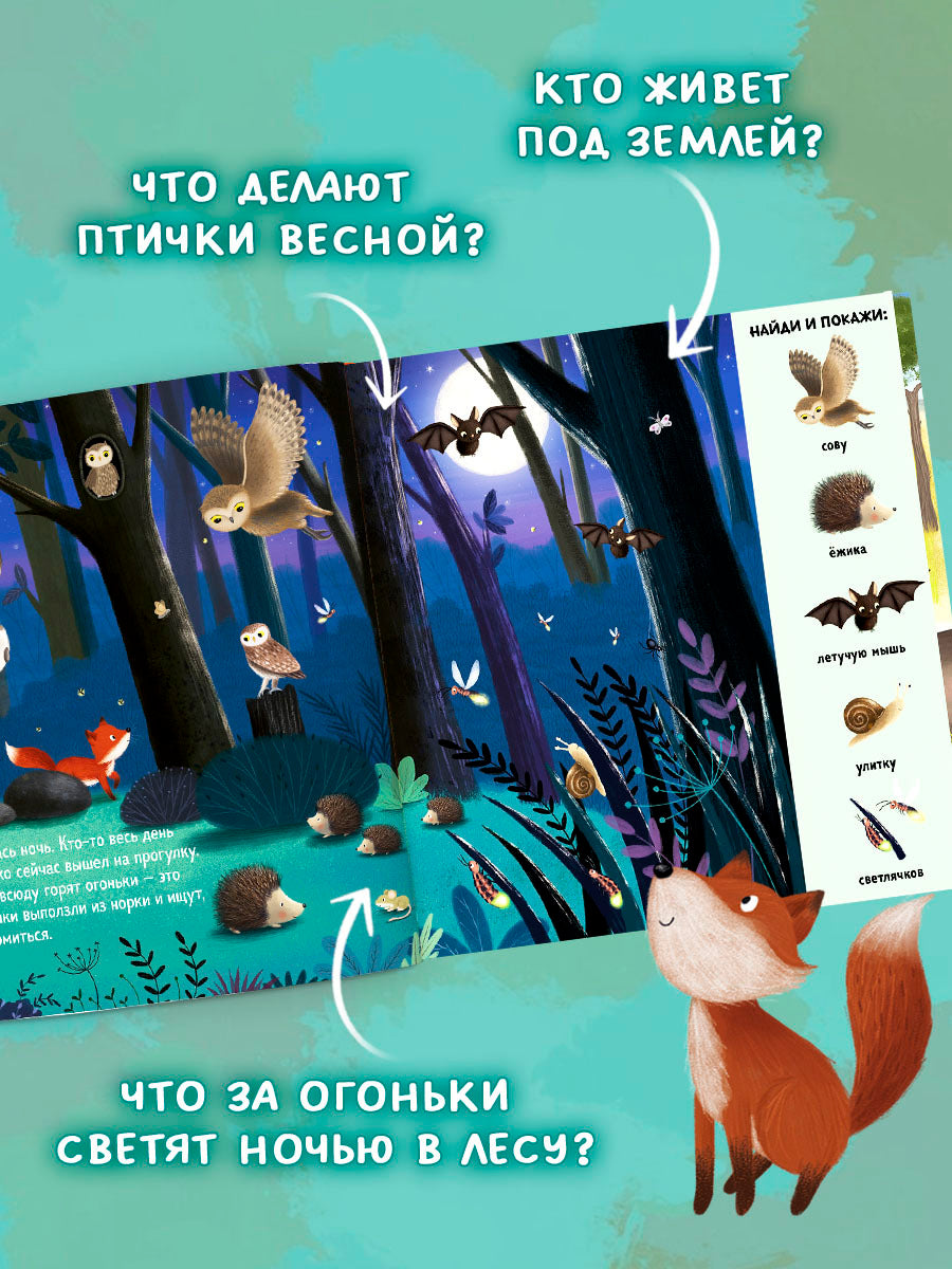 522804 Russian Baby Book “Find and Show — Forest Animals” | Ages 2+ | Educational Game Book for Toddlers | Learn About Animals and Nature | Clever Publishing