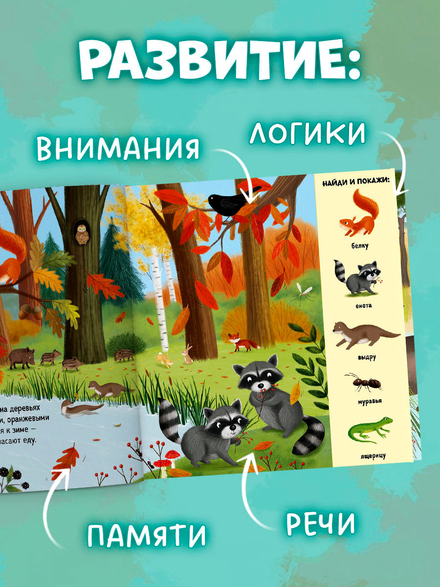 522804 Russian Baby Book “Find and Show — Forest Animals” | Ages 2+ | Educational Game Book for Toddlers | Learn About Animals and Nature | Clever Publishing