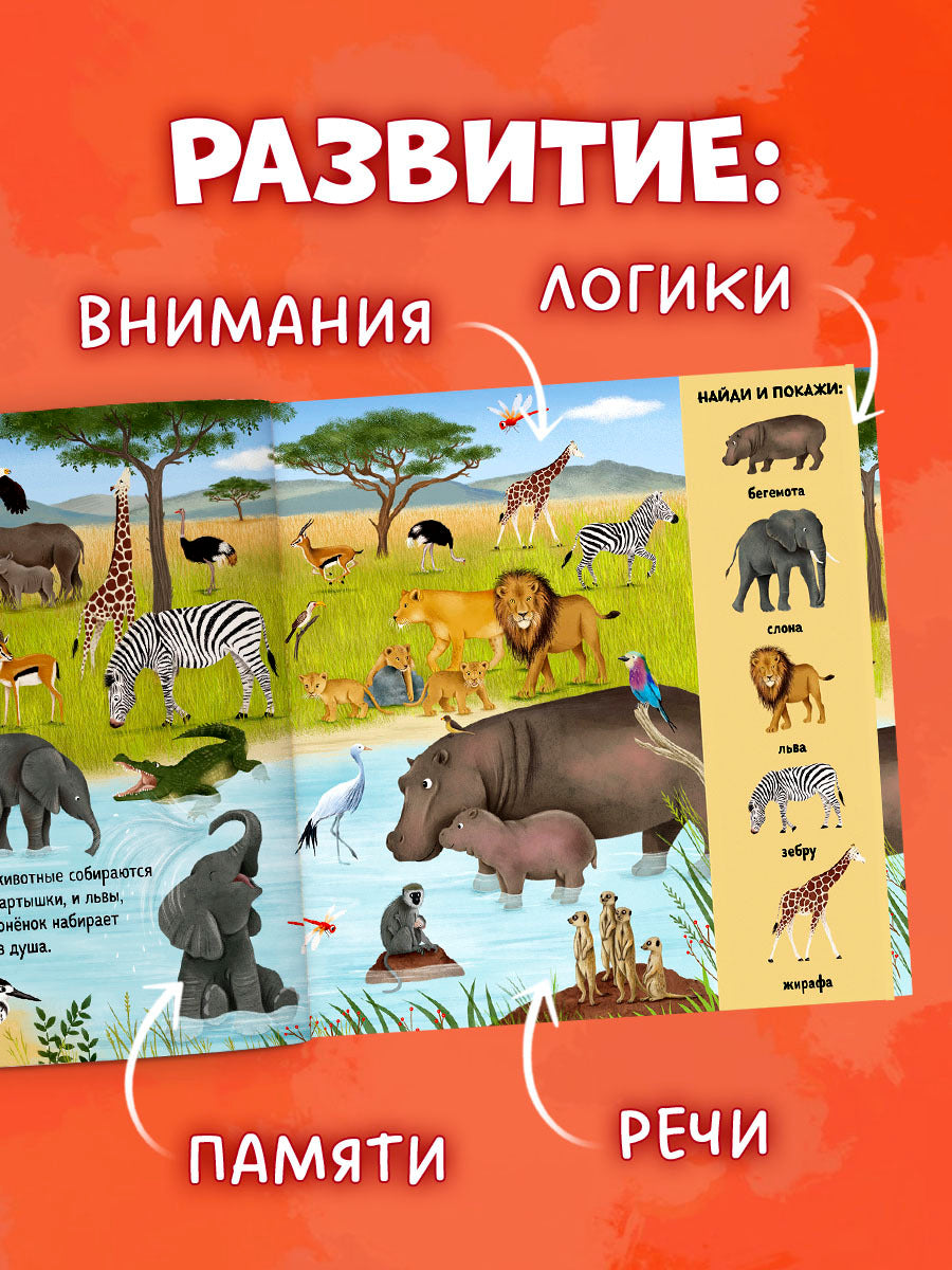 522811 Russian Baby Book “Find and Show — Animals Around the World” |Ages 2+ | Educational Game Book for Toddlers | Clever Publishing