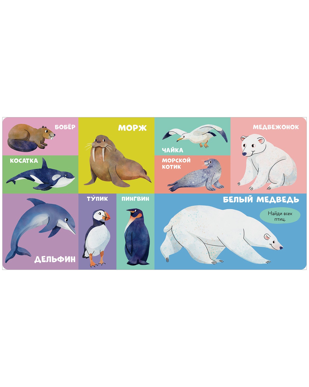 114726 Russian Baby Board Book “100 Animals” | Speech Development Book for Toddlers | Ages 1+ | Clever Publishing