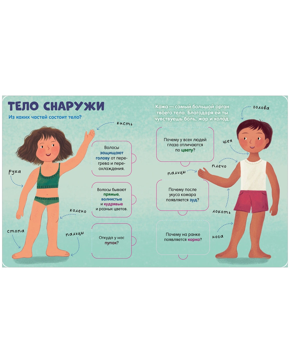 116973 Russian Children’s Book “The Human Body” with Flaps | Interactive Learning Book for Kids Ages 3+ | 42 Lift-the-Flap Questions