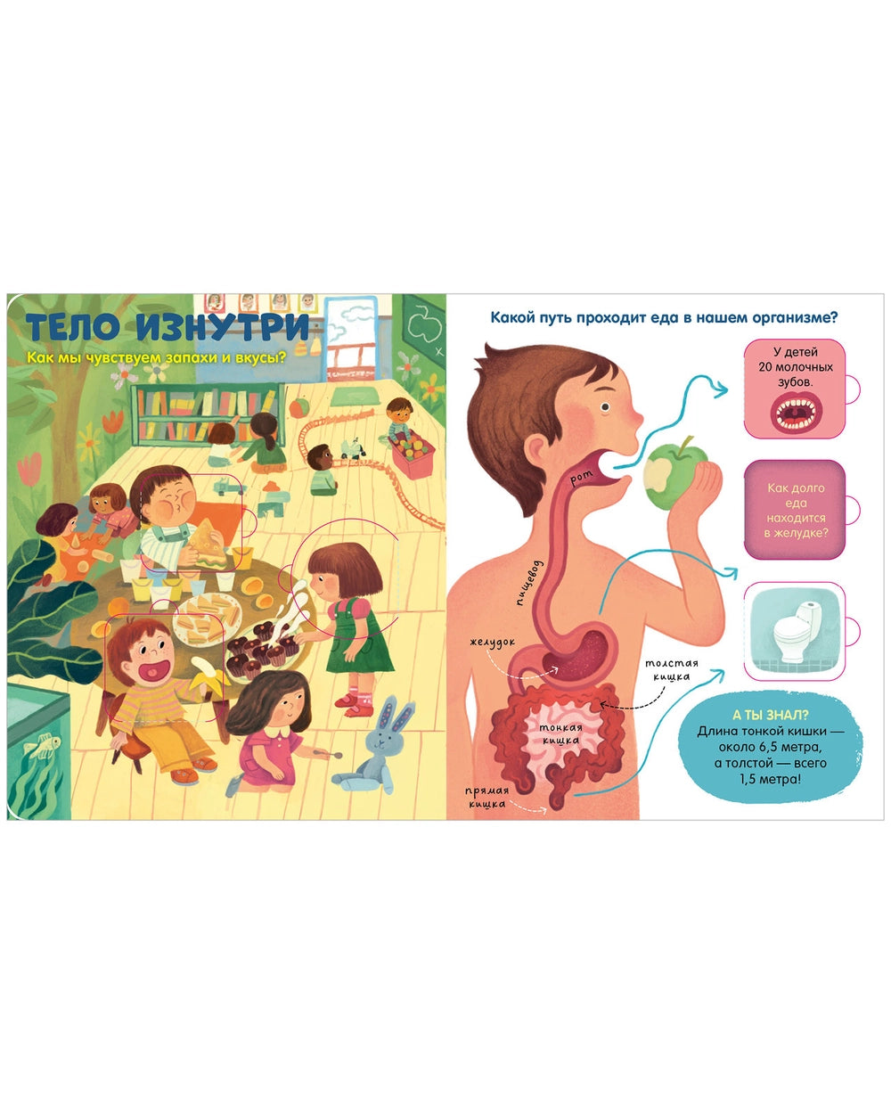 116973 Russian Children’s Book “The Human Body” with Flaps | Interactive Learning Book for Kids Ages 3+ | 42 Lift-the-Flap Questions