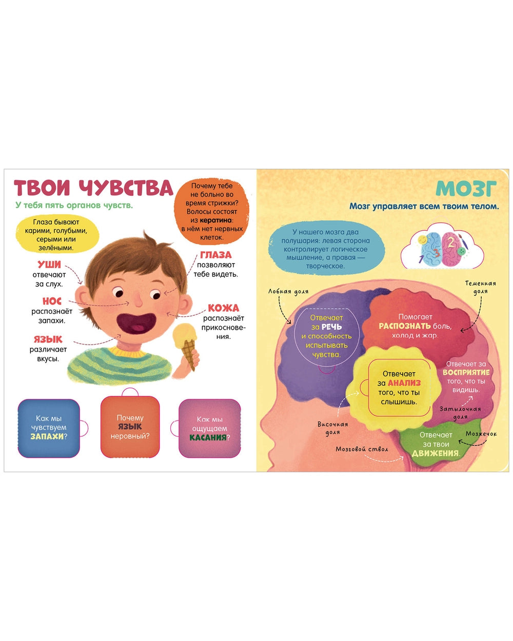 116973 Russian Children’s Book “The Human Body” with Flaps | Interactive Learning Book for Kids Ages 3+ | 42 Lift-the-Flap Questions