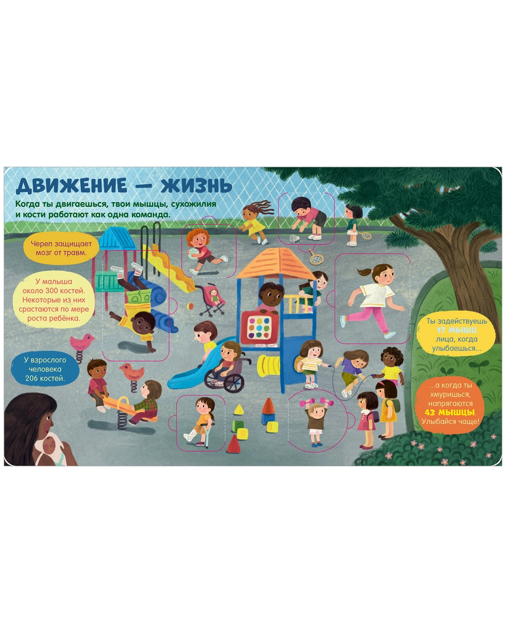 116973 Russian Children’s Book “The Human Body” with Flaps | Interactive Learning Book for Kids Ages 3+ | 42 Lift-the-Flap Questions