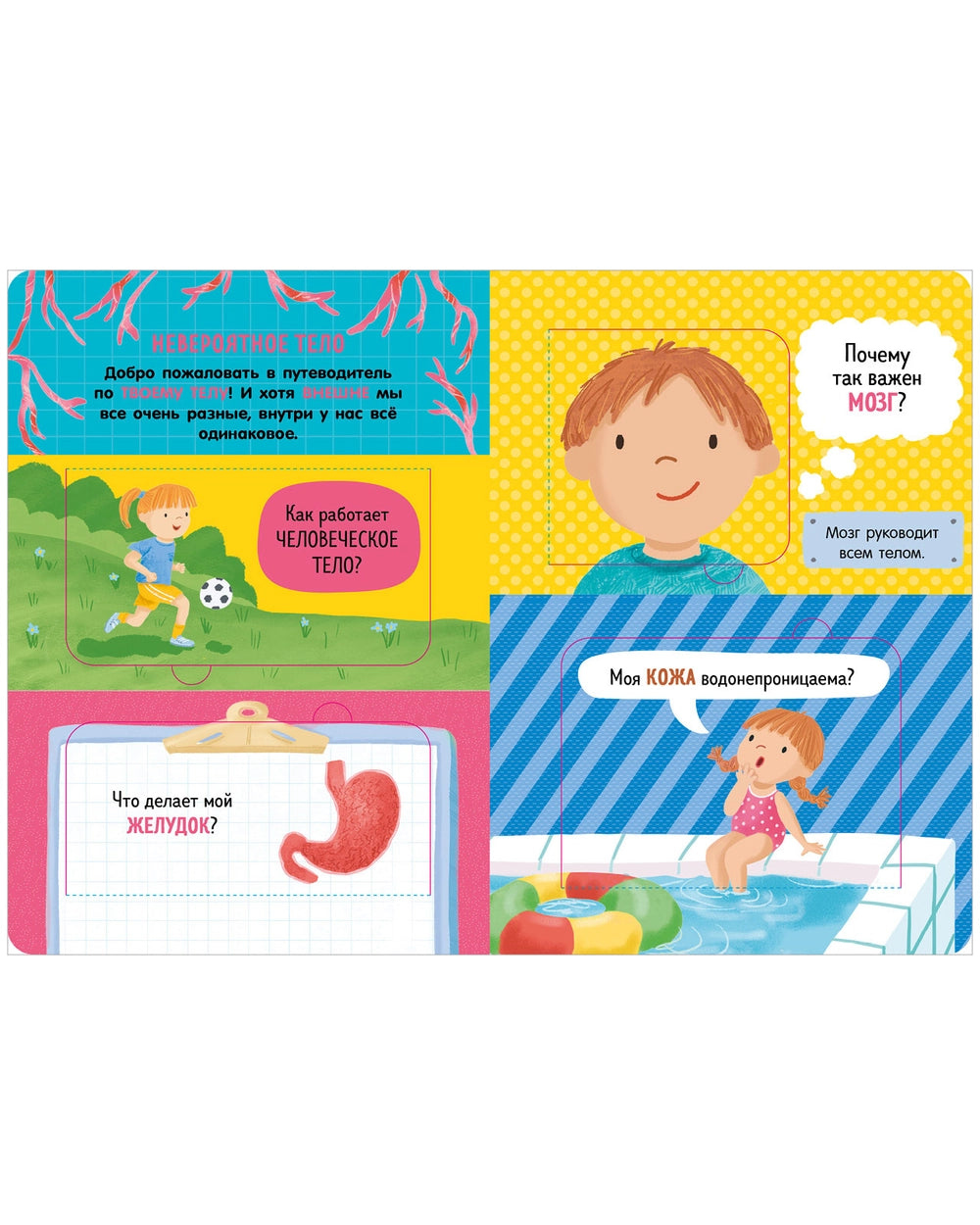 117826 Russian Children’s Book “How the Human Body Works” | Interactive Lift-the-Flap Anatomy Book for Kids Ages 5+ | 21 Flaps