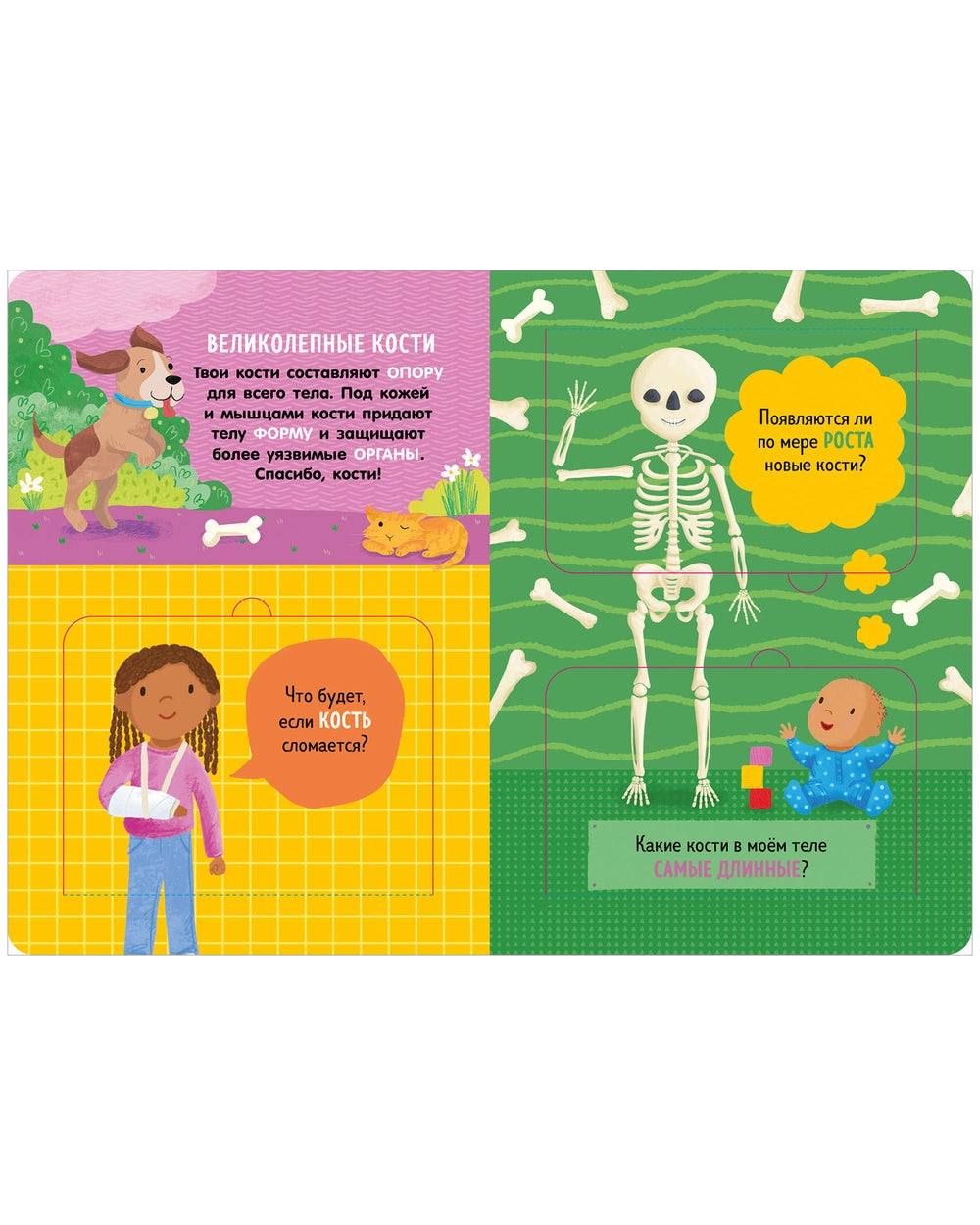 117826 Russian Children’s Book “How the Human Body Works” | Interactive Lift-the-Flap Anatomy Book for Kids Ages 5+ | 21 Flaps