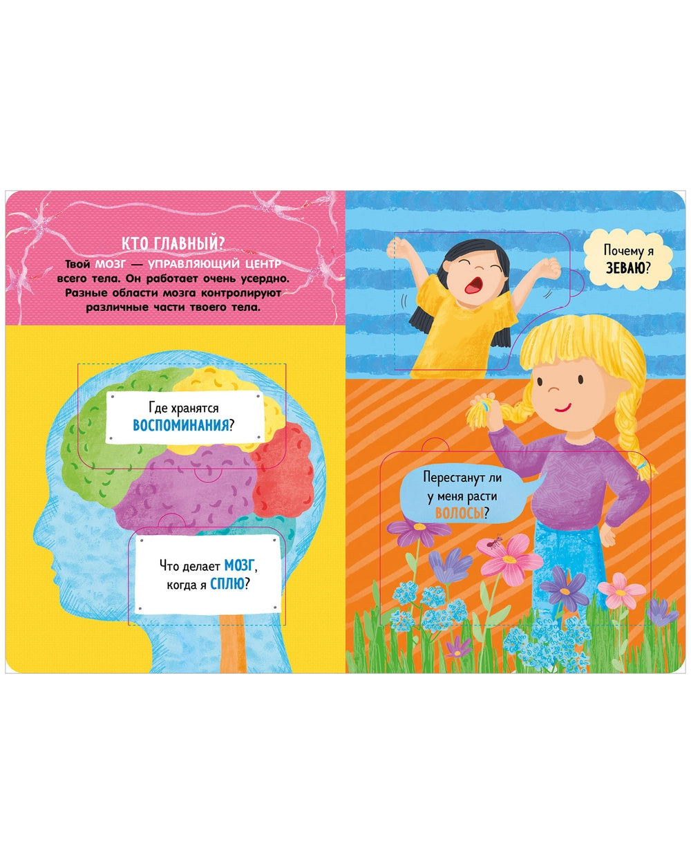 117826 Russian Children’s Book “How the Human Body Works” | Interactive Lift-the-Flap Anatomy Book for Kids Ages 5+ | 21 Flaps