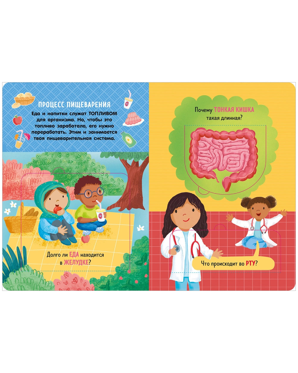 117826 Russian Children’s Book “How the Human Body Works” | Interactive Lift-the-Flap Anatomy Book for Kids Ages 5+ | 21 Flaps