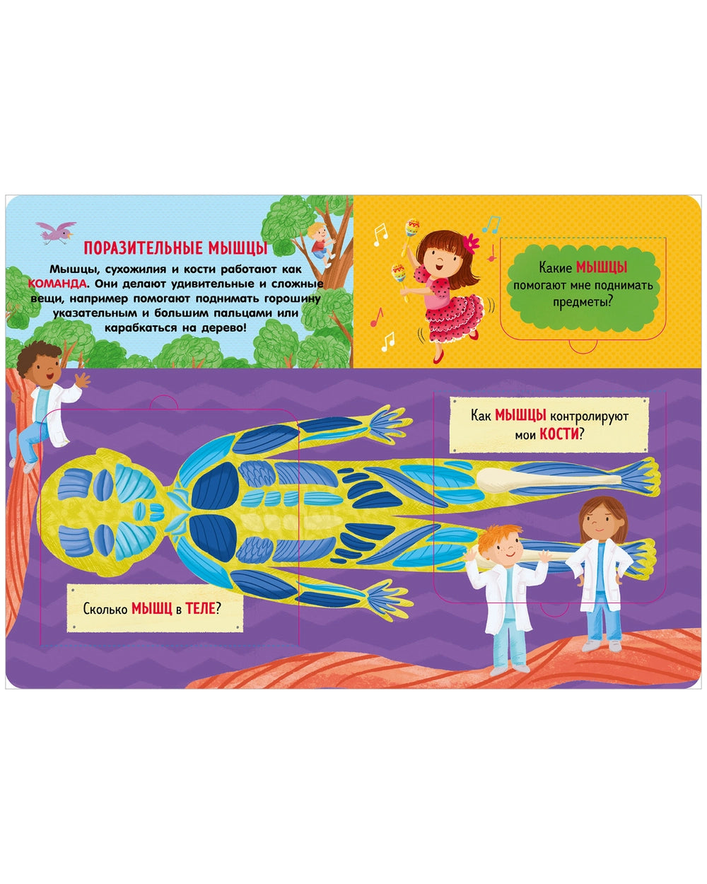 117826 Russian Children’s Book “How the Human Body Works” | Interactive Lift-the-Flap Anatomy Book for Kids Ages 5+ | 21 Flaps