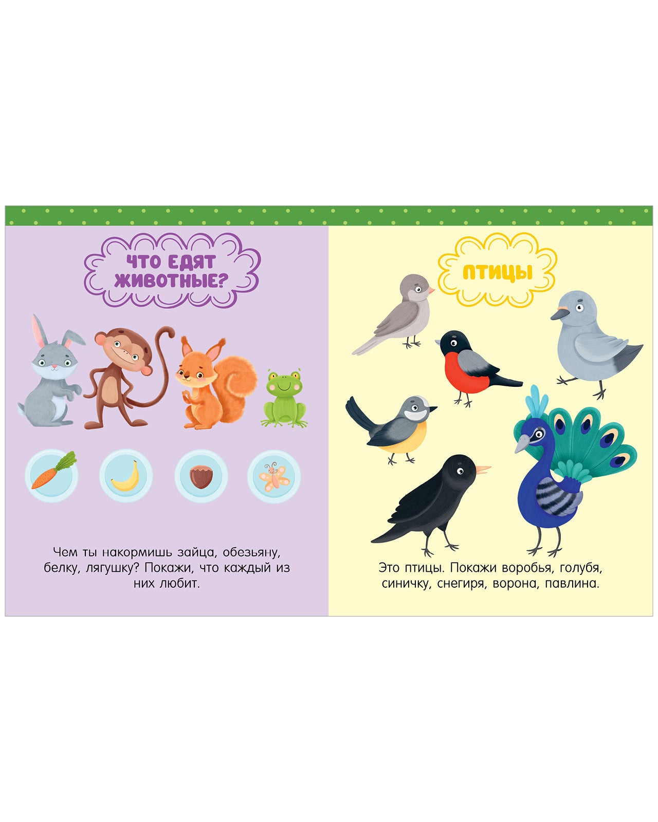 118564 Russian Kids Book “Big Book for Speech Development” | Ages 1+ | Yelena Ulyeva | Clever Publishing