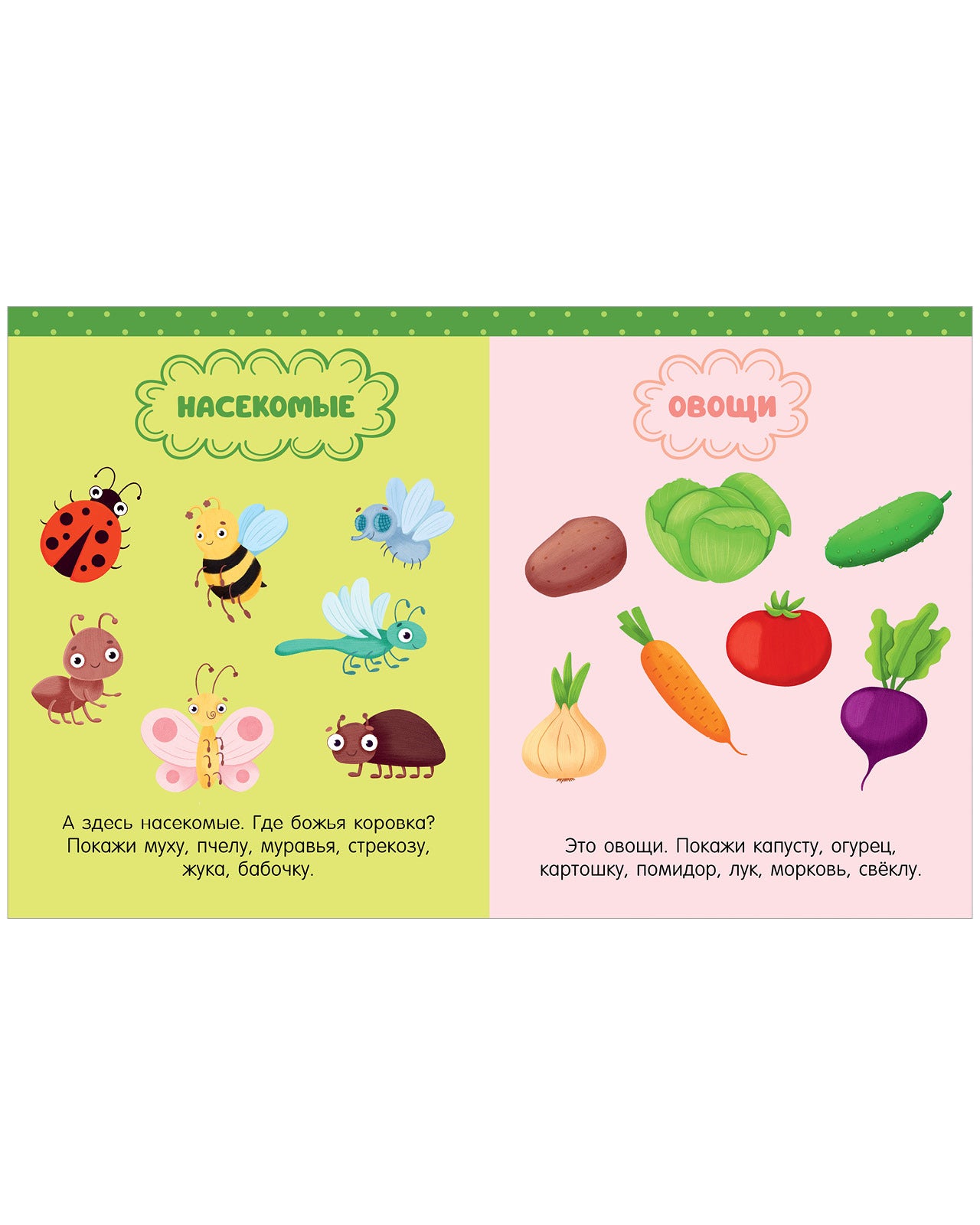 118564 Russian Kids Book “Big Book for Speech Development” | Ages 1+ | Yelena Ulyeva | Clever Publishing