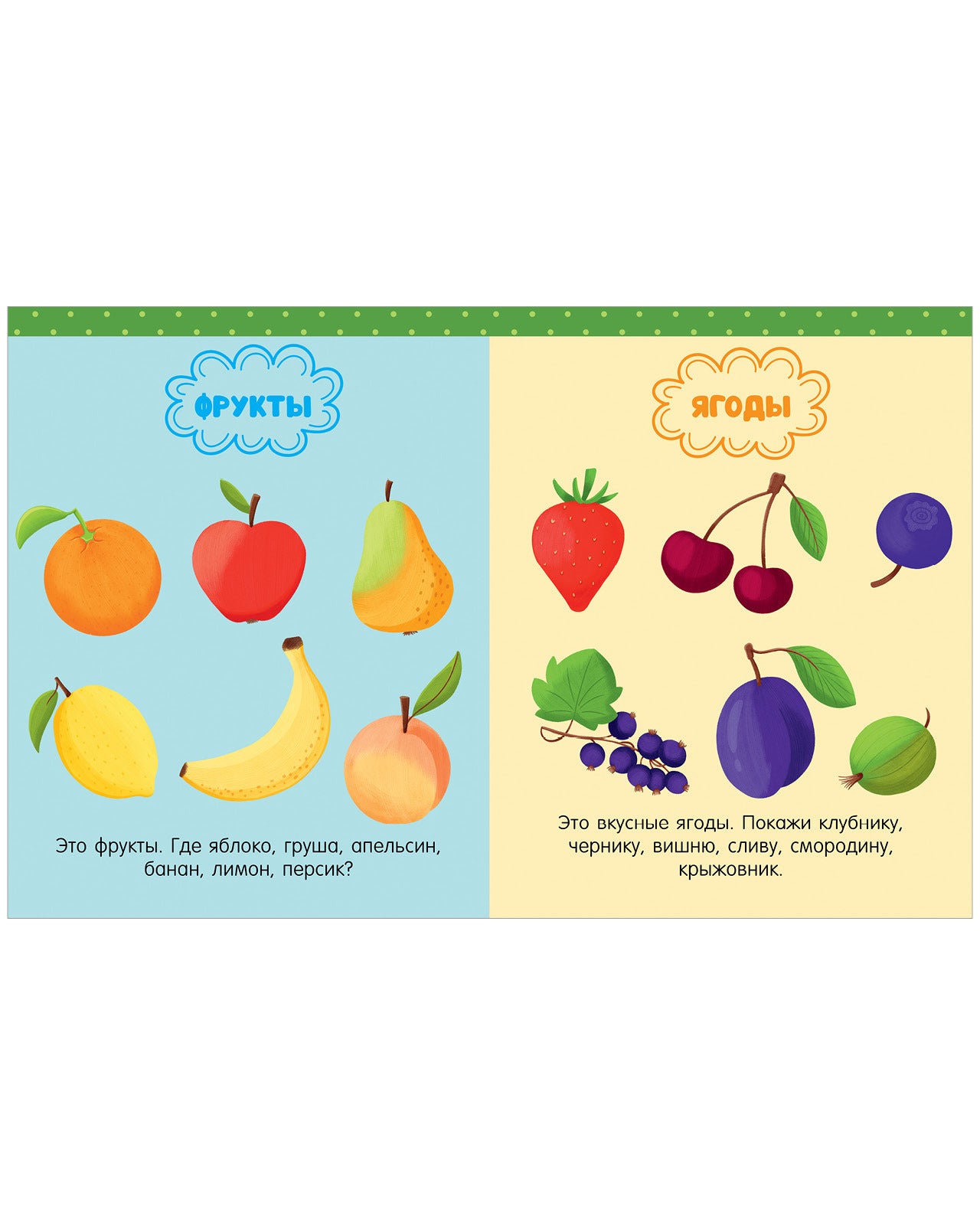 118564 Russian Kids Book “Big Book for Speech Development” | Ages 1+ | Yelena Ulyeva | Clever Publishing