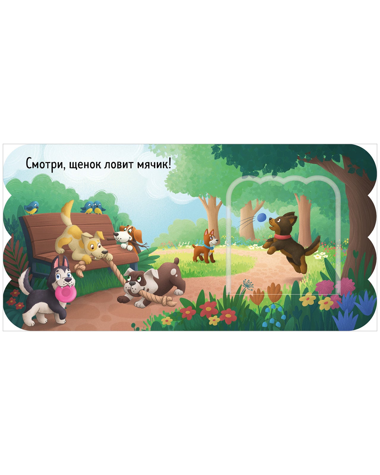 520015 Russian Baby Lift-the-Flap Book “Puppies” | Interactive Board Book | Early Learning & Fine Motor Skills | Ages 0+ | Clever Publishing