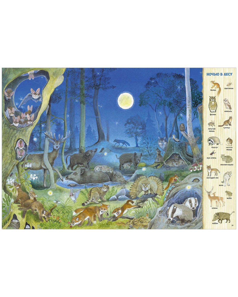 521982 Russian Children's Book “Find and Show: 1000 Animals” | Kristina Henkel | Search & Find Picture Book | Ages 3–6 | Clever Publishing