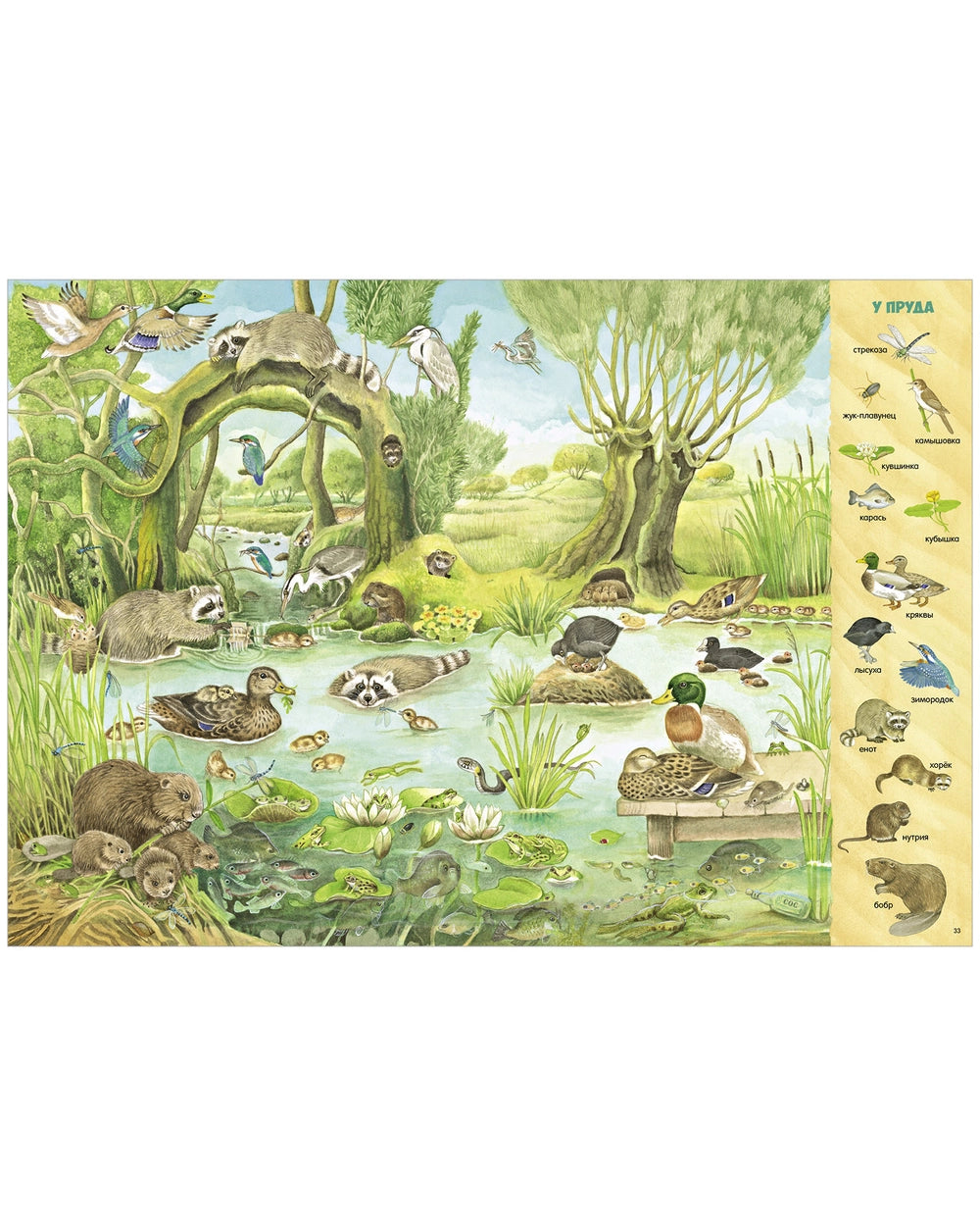 521982 Russian Children's Book “Find and Show: 1000 Animals” | Kristina Henkel | Search & Find Picture Book | Ages 3–6 | Clever Publishing