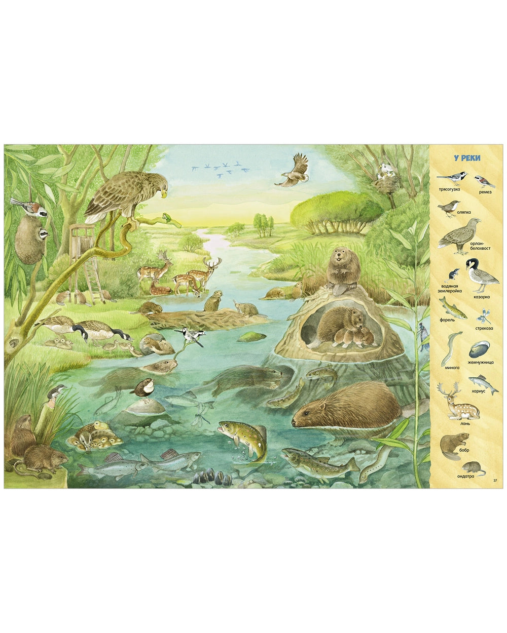 521982 Russian Children's Book “Find and Show: 1000 Animals” | Kristina Henkel | Search & Find Picture Book | Ages 3–6 | Clever Publishing