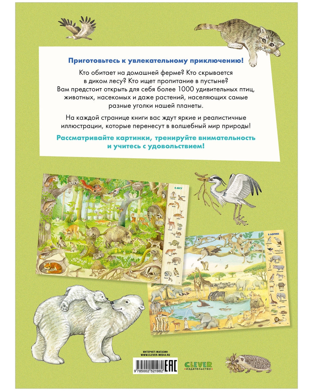 521982 Russian Children's Book “Find and Show: 1000 Animals” | Kristina Henkel | Search & Find Picture Book | Ages 3–6 | Clever Publishing