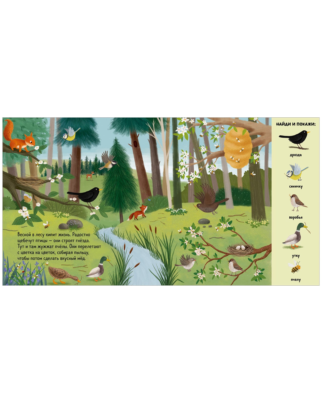 522804 Russian Baby Book “Find and Show — Forest Animals” | Ages 2+ | Educational Game Book for Toddlers | Learn About Animals and Nature | Clever Publishing