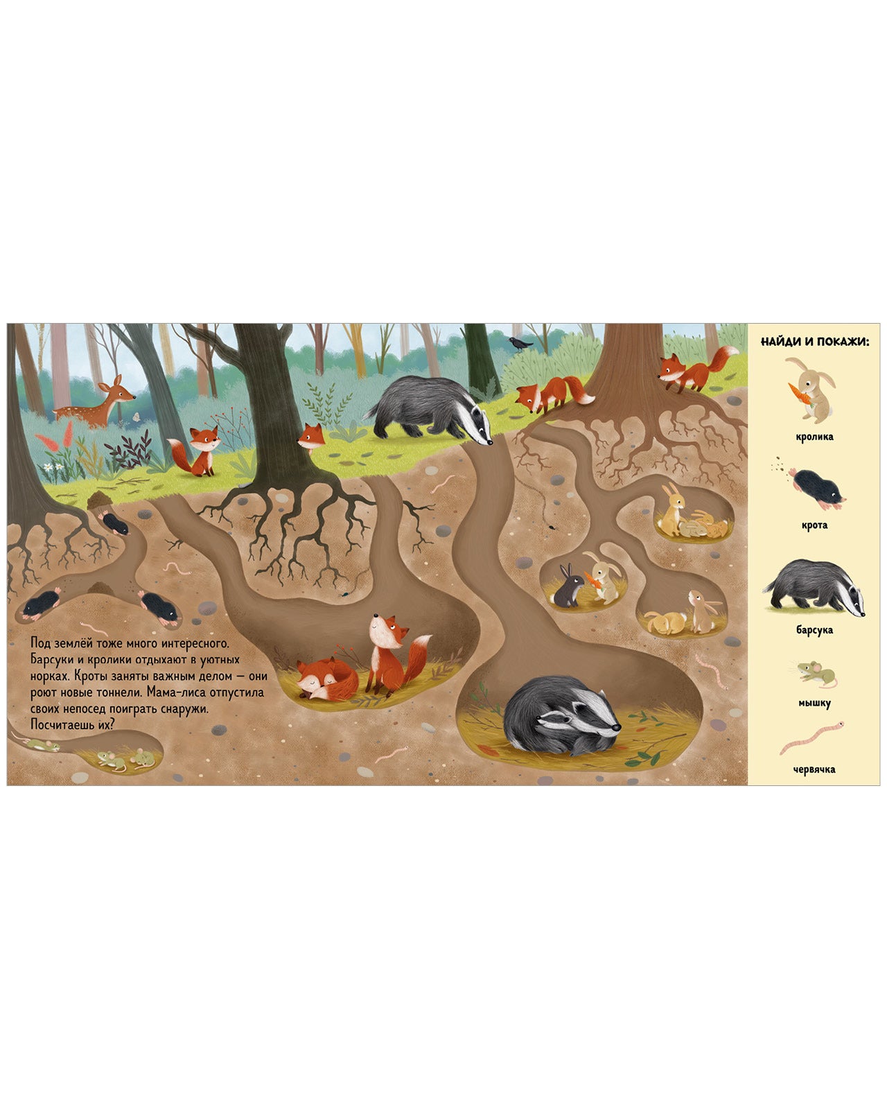 522804 Russian Baby Book “Find and Show — Forest Animals” | Ages 2+ | Educational Game Book for Toddlers | Learn About Animals and Nature | Clever Publishing
