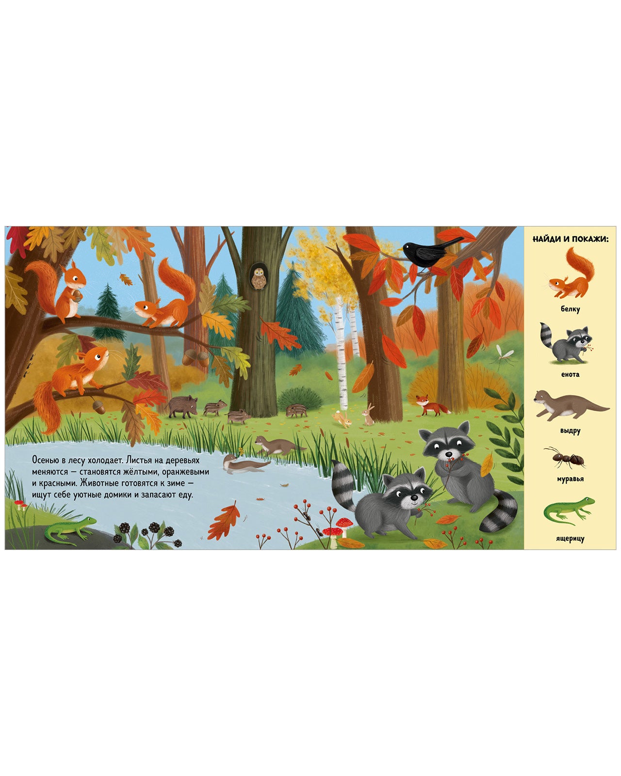 522804 Russian Baby Book “Find and Show — Forest Animals” | Ages 2+ | Educational Game Book for Toddlers | Learn About Animals and Nature | Clever Publishing