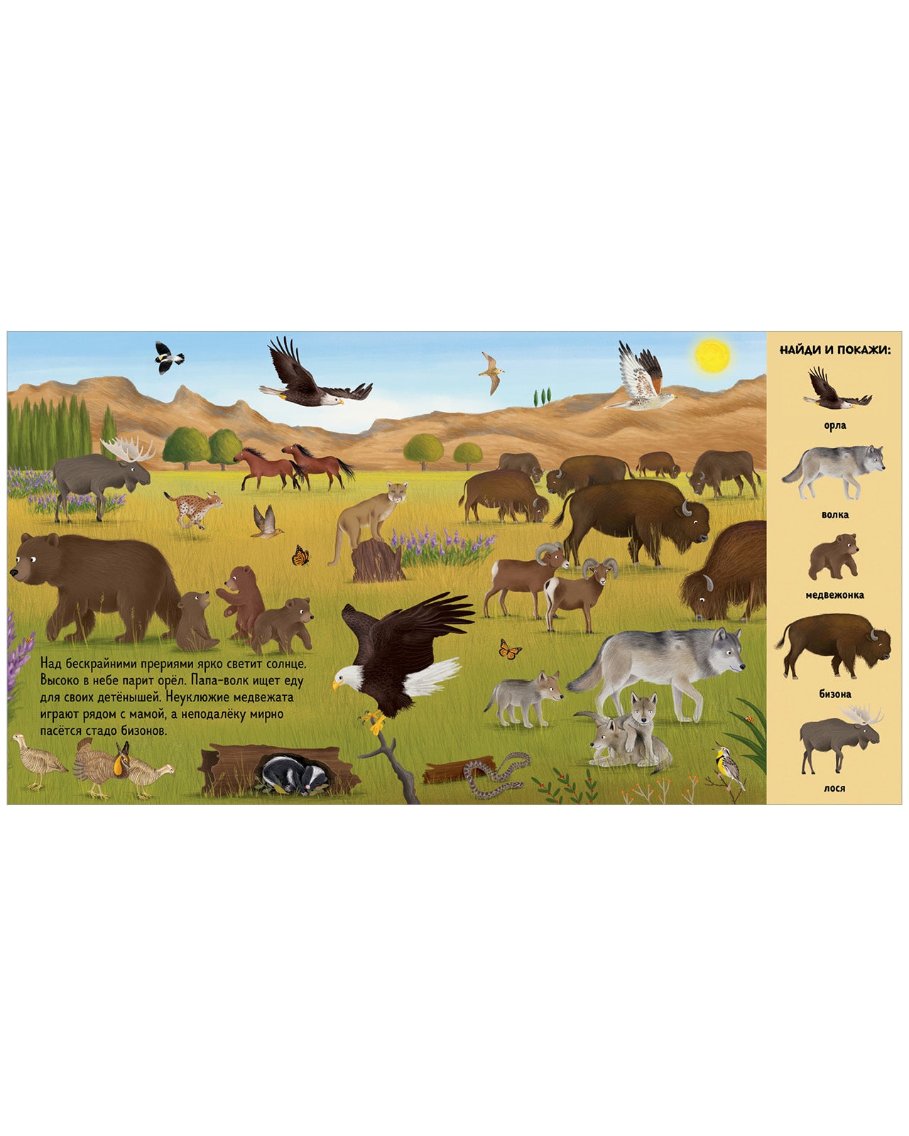 522811 Russian Baby Book “Find and Show — Animals Around the World” |Ages 2+ | Educational Game Book for Toddlers | Clever Publishing